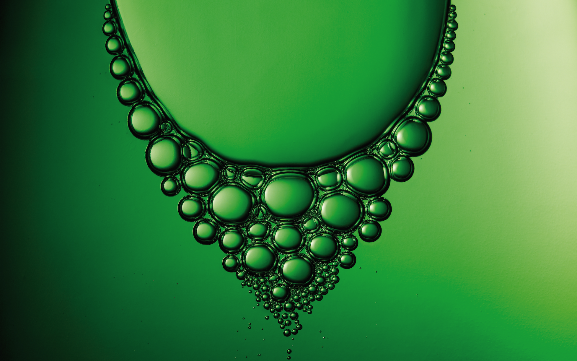 PARXET- GARGANTILLA- PRINT