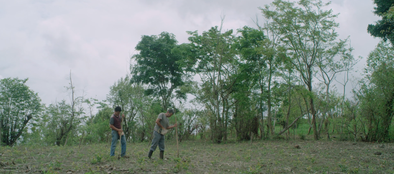 JUNTOS POR NICARAGUA