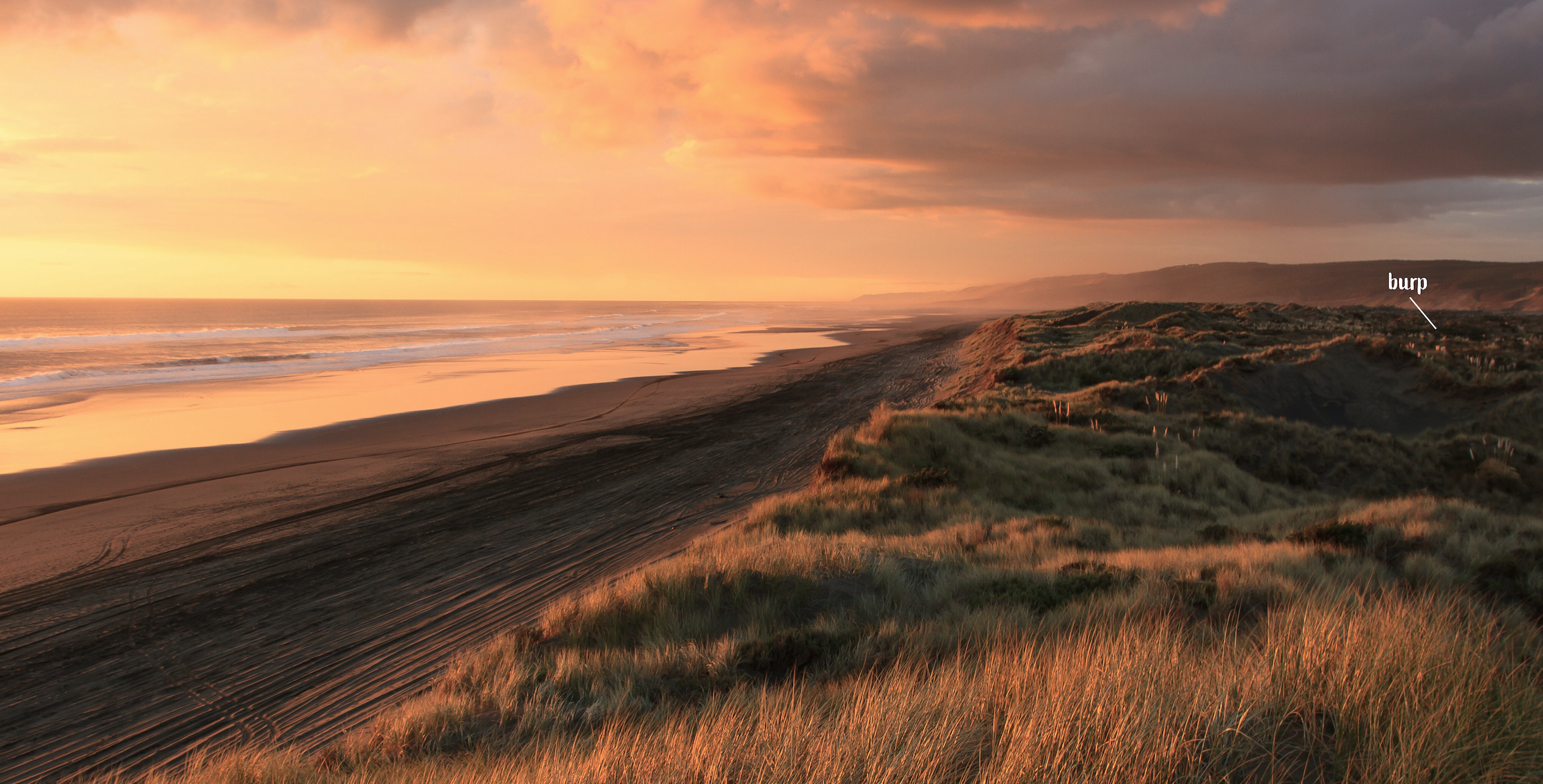 BLEVIT – BLEVIT BIBE – PRINT